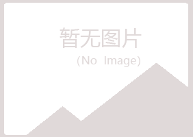 阳曲县原来金属有限公司